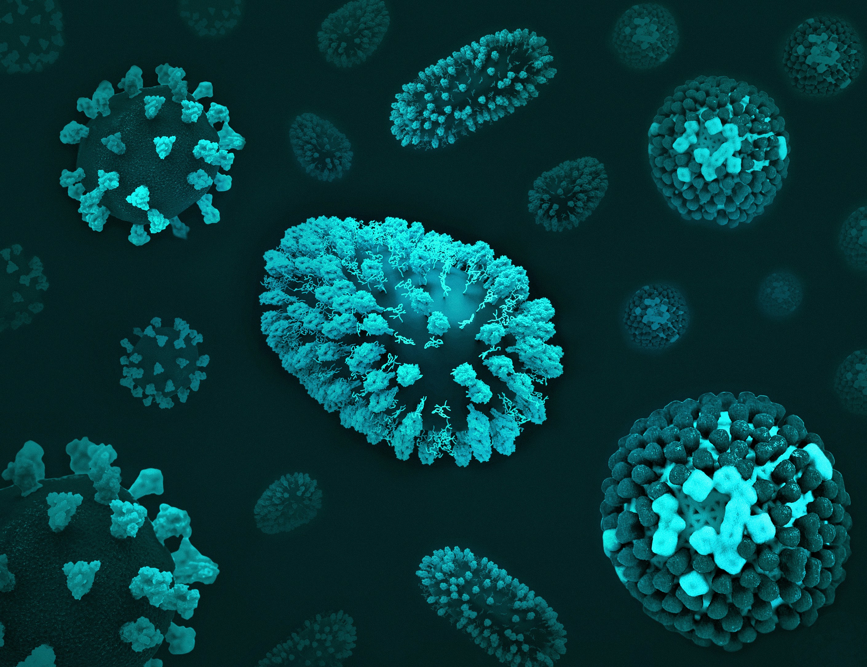 immunology